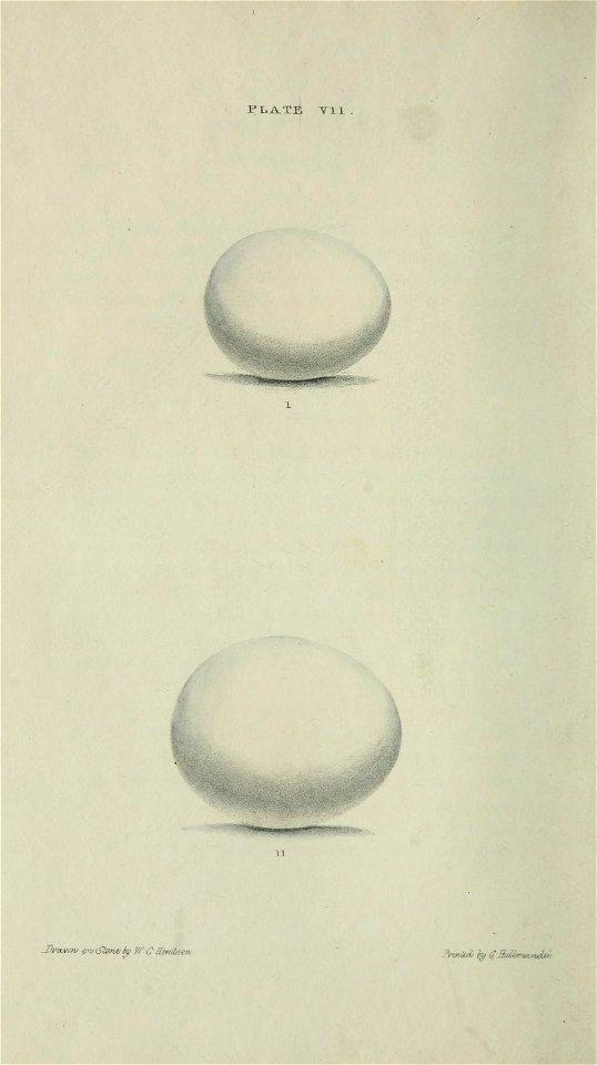 n103_w1150