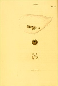 n49_w1150