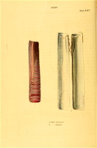n105_w1150