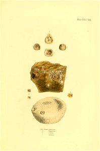 n456_w1150