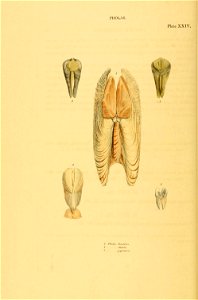 n101_w1150