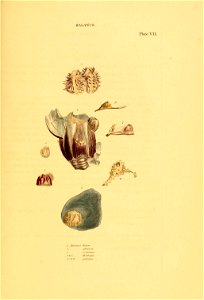 n46_w1150
