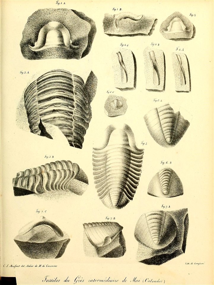 n52_w1150