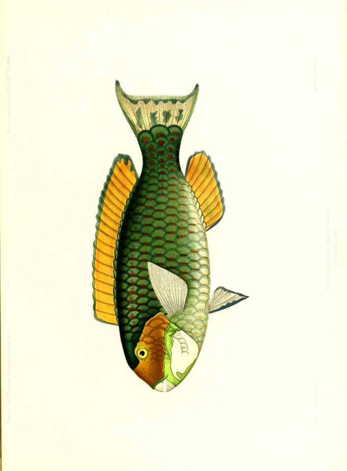 n178_w1150
