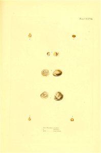 n452_w1150