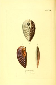 n397_w1150