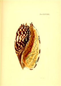 n572_w1150