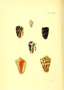 n467_w1150