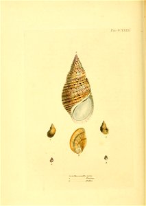 n367_w1150