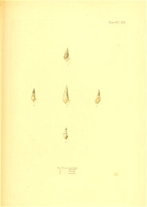 n318_w1150