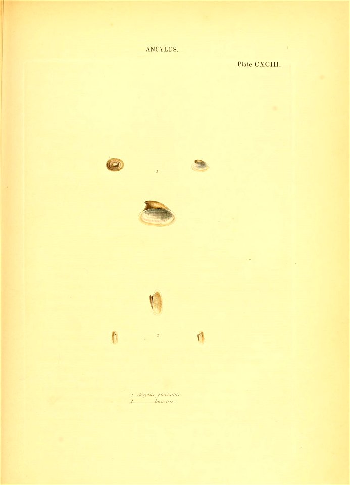 n254_w1150