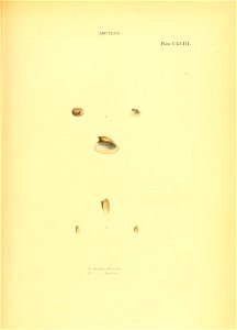 n254_w1150