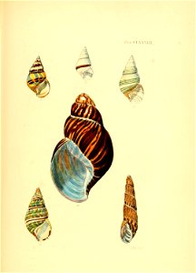 n192_w1150