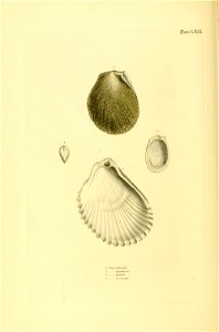 n393_w1150