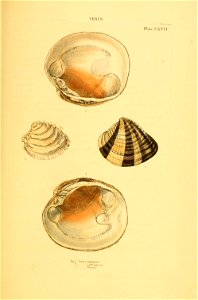 n238_w1150
