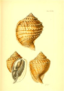 n464_w1150