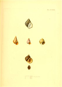 n364_w1150