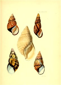 n190_w1150