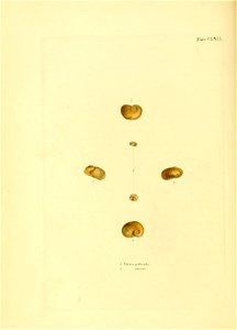 n137_w1150