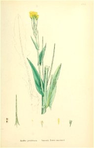 n494_w1150