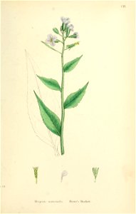 n462_w1150