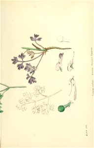 n402_w1150