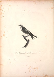n145_w1150