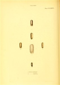 n549_w1150