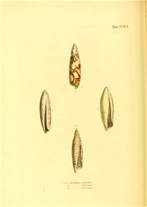 n599_w1150