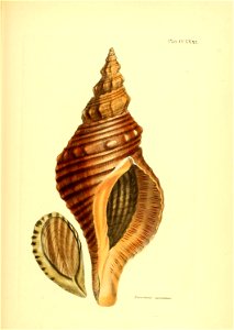n396_w1150