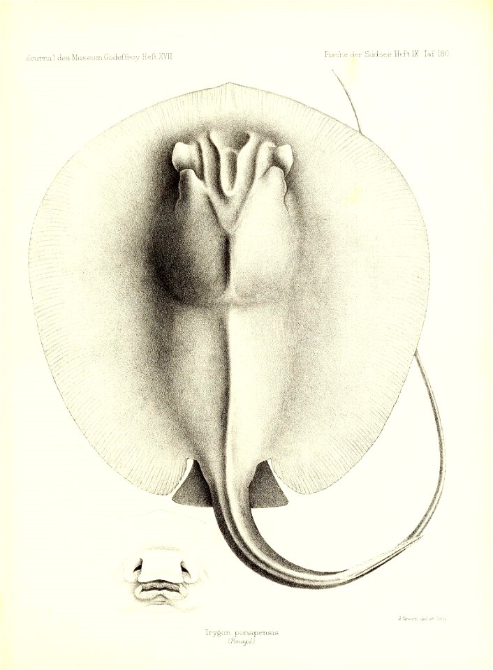 n362_w1150
