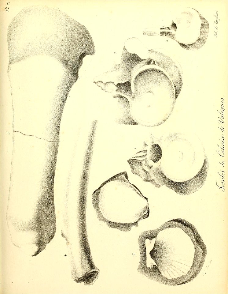 n58_w1150