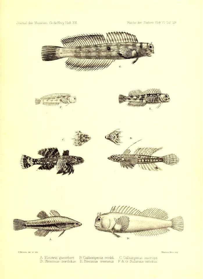 n158_w1150