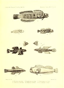 n158_w1150