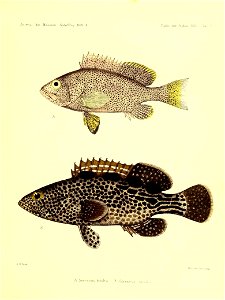 n158_w1150