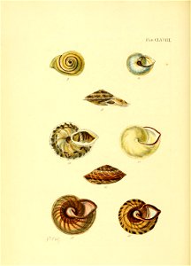 n159_w1150