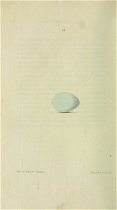 n251_w1150