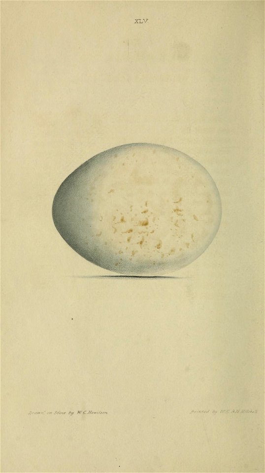 n47_w1150