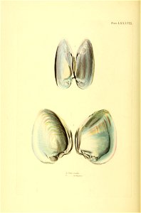 n303_w1150