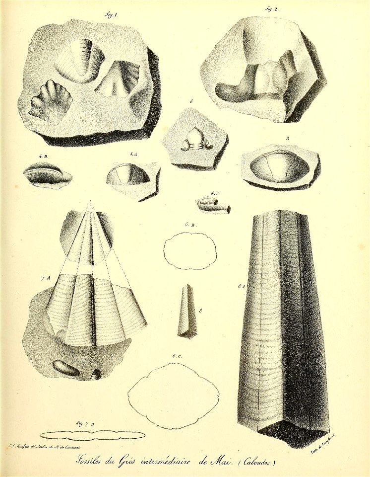 n54_w1150