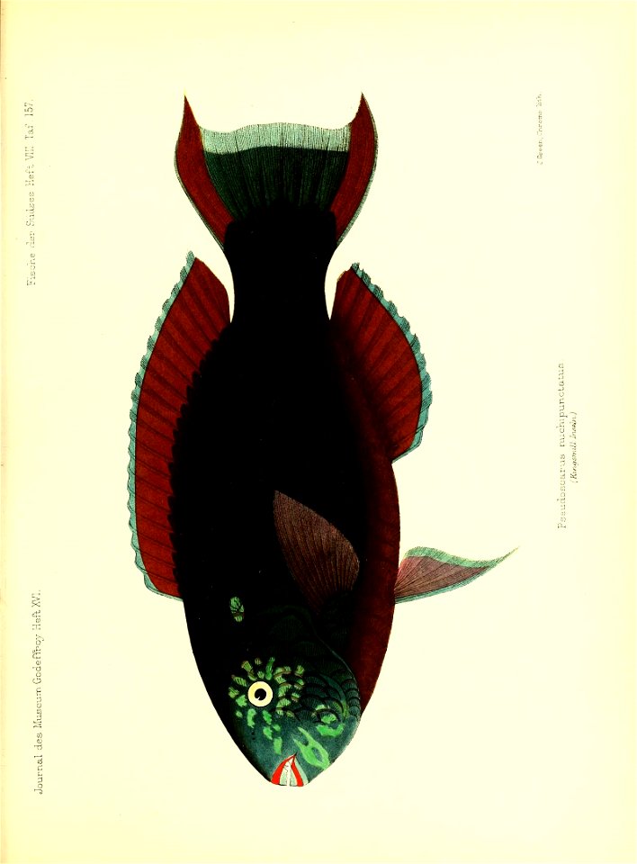 n180_w1150