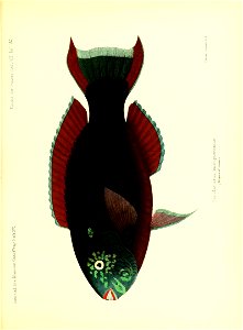 n180_w1150