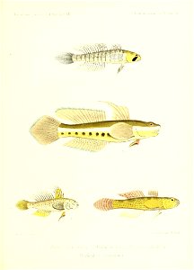 n152_w1150