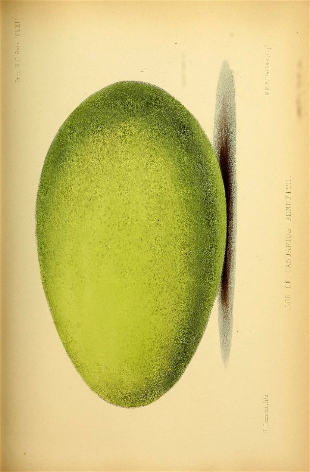 n180_w1150