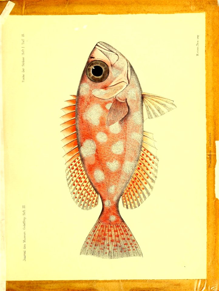 n178_w1150