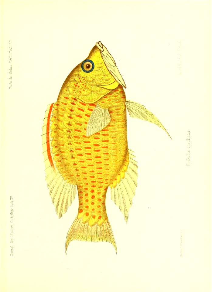 n250_w1150