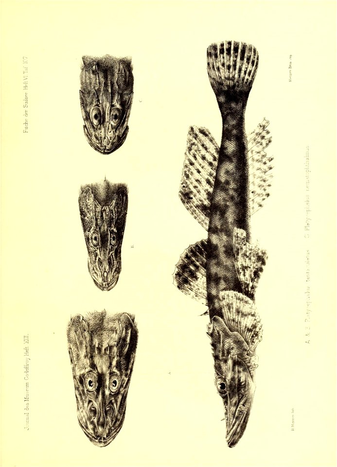 n146_w1150