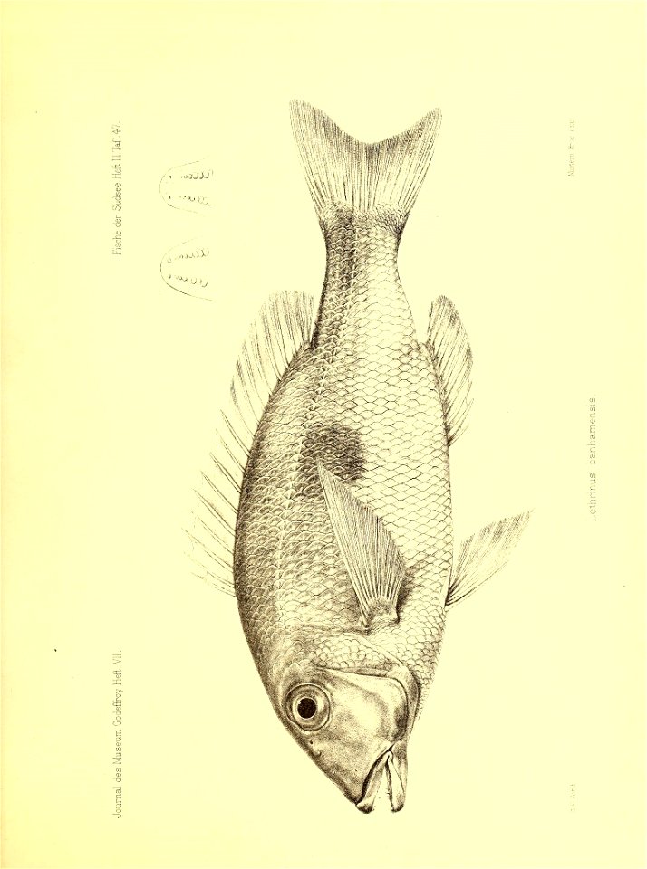 n236_w1150