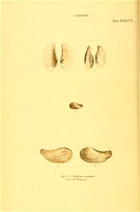 n141_w1150