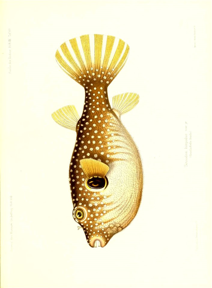 n356_w1150